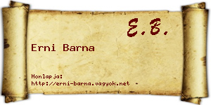 Erni Barna névjegykártya