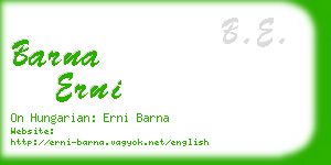 barna erni business card